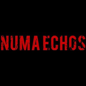 Numa Echos logo